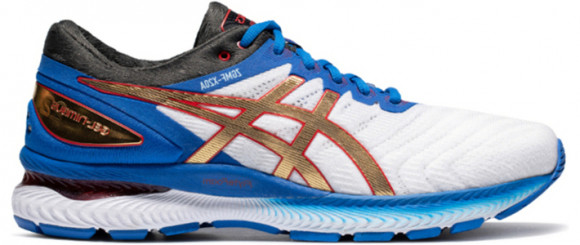 Asics gel discount nimbus 22 marathon