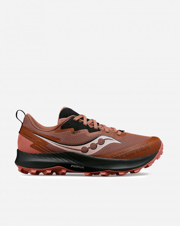 SAUCONY Peregrine 14 GTX CLOVE/BLACK -  - 113364-1