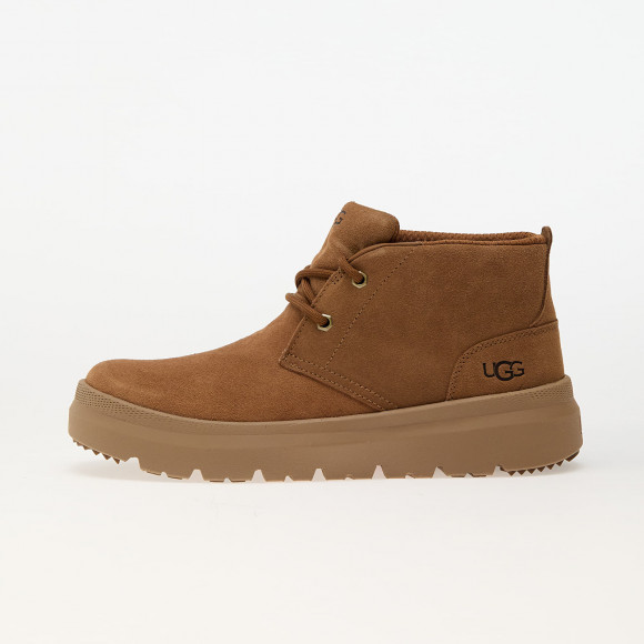 Sneakers UGG M Burleigh Chukka Chestnut - 1151773-CHE