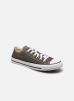 Chuck Taylor All Star Ox W par Converse - 1J794C-W