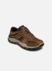 RESPECTED par Skechers - 204330/DSRT