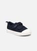 City bright T par Clarks - 26149087/G