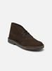 Desert Bt Evo par Clarks - 26166784