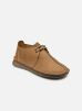 Colehill Trek par Clarks - 26167743