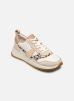 Clarks  Shoes (Trainers) DASHLITE JAZZ  (women) - 26170429