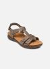 April Cove par Clarks - 26171133