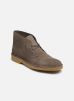 Desert Bt Evo par Clarks - 26175160