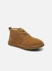 Neumel par UGG - 3236/CHE