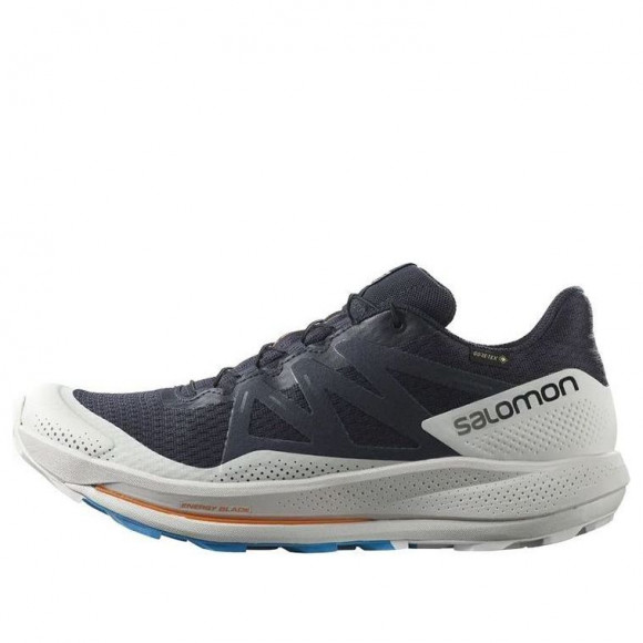 Salomon Pulsar Trail GTX 'Night Sky' - 417499