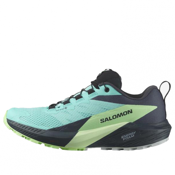 (WMNS)SALOMON Sense Ride 5 GTX 'Blue Radiance' - 472160