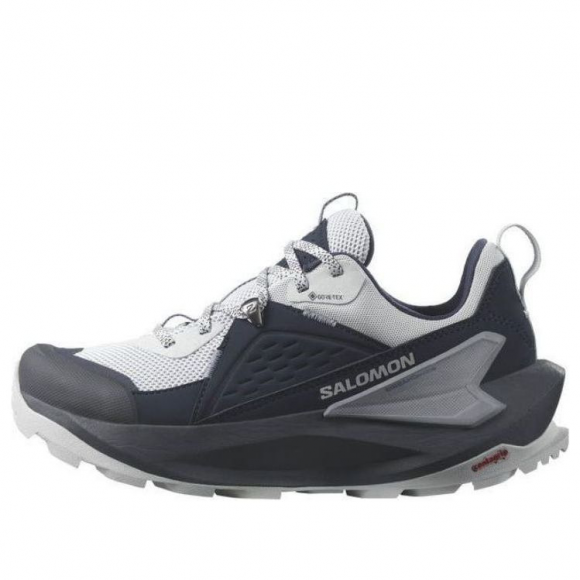 (WMNS) SALOMON Elixir GTX 'Carbon Pearl Blue' - 472963