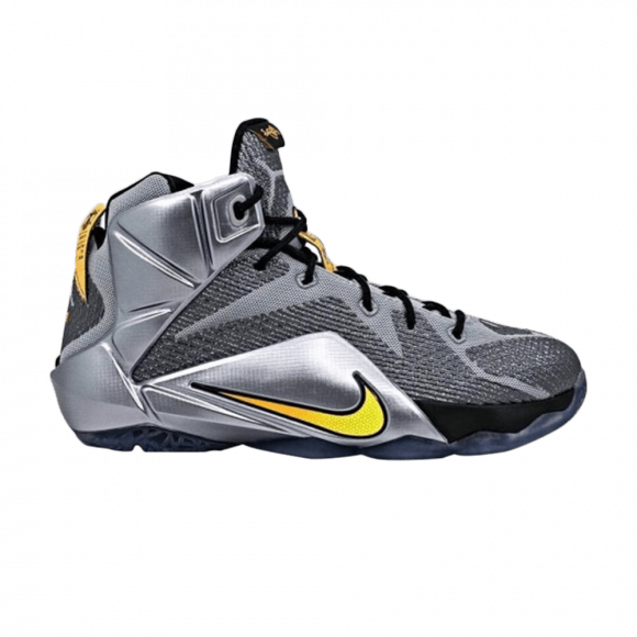 lebron 12 silver