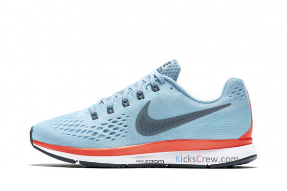 pegasus 34 ice blue