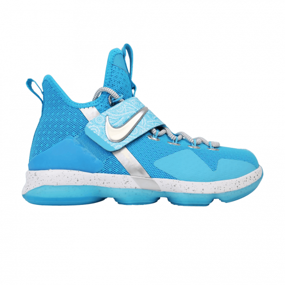 Nike lebron 2024 14 boys