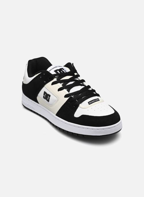 Baskets DC Shoes Manteca SE pour  Homme - ADYS100314-WGB