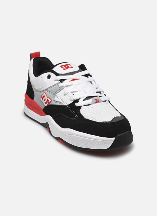 Baskets DC Shoes Dc Ascend pour  Homme - ADYS100844-XKSW