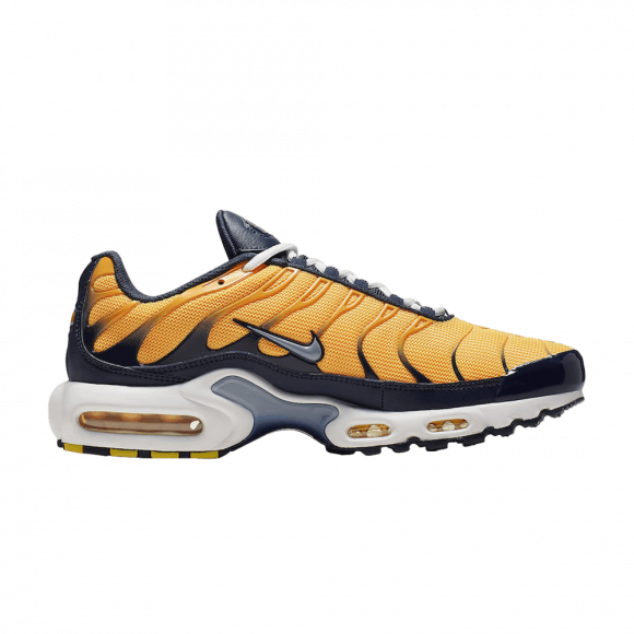 Nike Air Max Plus - AJ2013-800