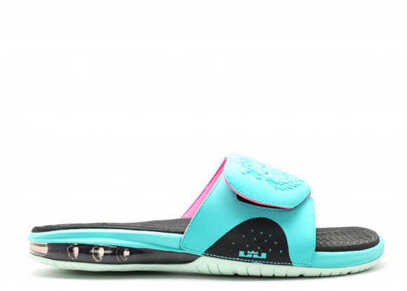 Air store lebron slide