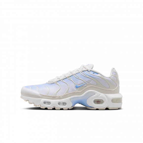 Sapatilhas Nike Air Max Plus Júnior - Azul - CD0609-411