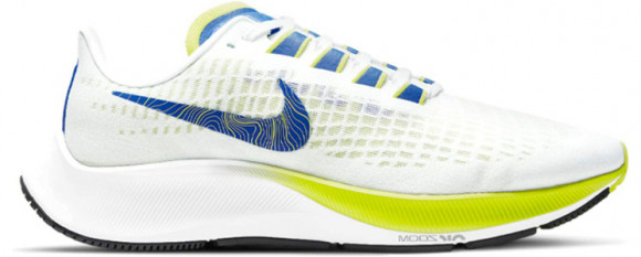 Nike Rei 2013 - Nike Rei Air Zoom Pegasus 37 Marathon Running Shoes/Sneakers DC5191 - 100