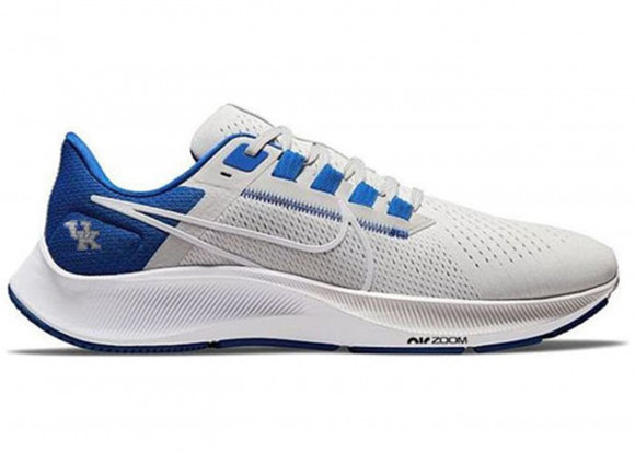 Nike College Air Zoom Pegasus 38 \Kentucky\ Marathon High Shoes/Sneakers DJ0830-001 - DJ0830-001