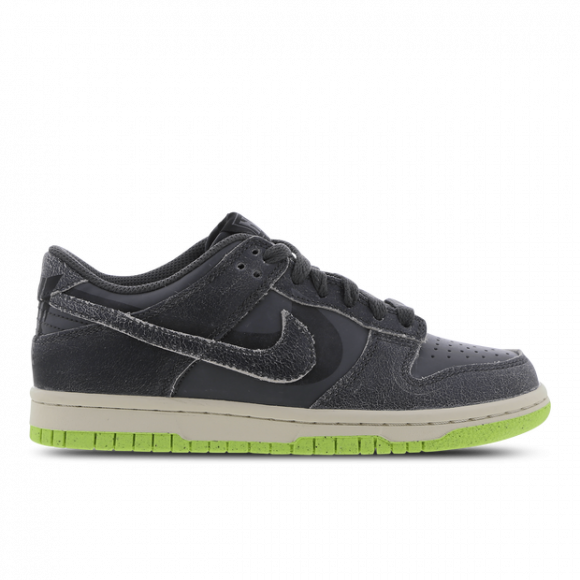 Nike Dunk Low SE Older Kids' Shoes - Grey