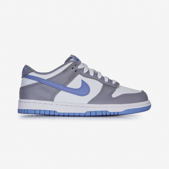 Dunk Low  Gris/bleu - FB9109-121