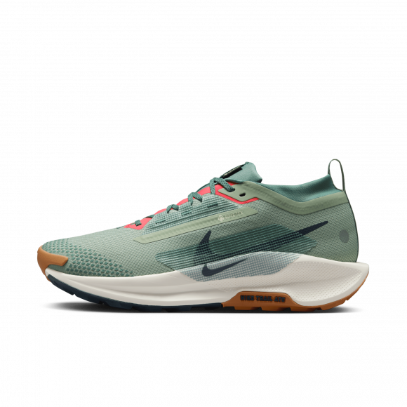 Nike Pegasus Trail 5 GORE-TEX - FQ0908-300