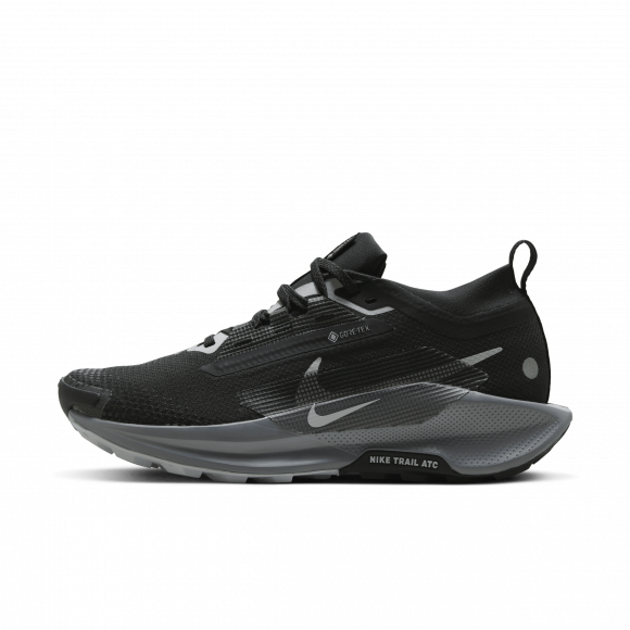 Nike Pegasus Trail 5 GORE-TEX waterdichte trailrunningschoenen voor dames - Zwart - FQ0912-001