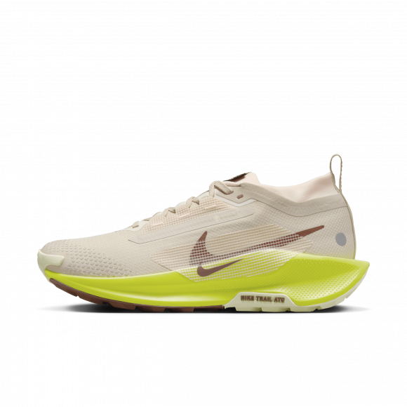 Nike Pegasus Trail 5 GORE-TEX - FQ0912-101