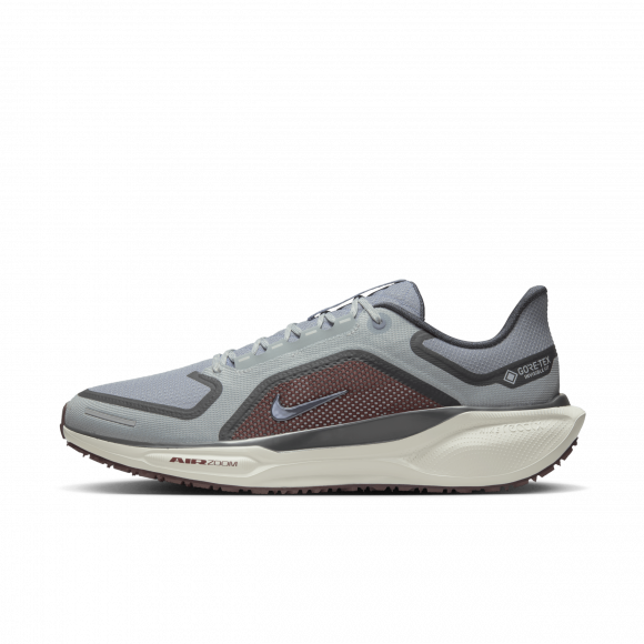 Nike Pegasus 41 GORE-TEX waterdichte hardloopschoenen voor heren (straat) - Grijs - FQ1356-003