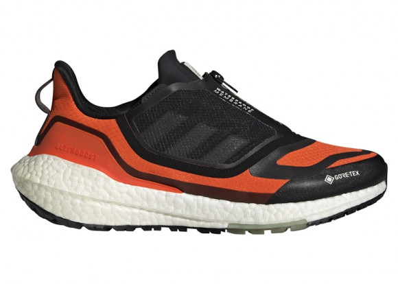 Ultraboost 22 GORE-TEX Schoenen - GX9126