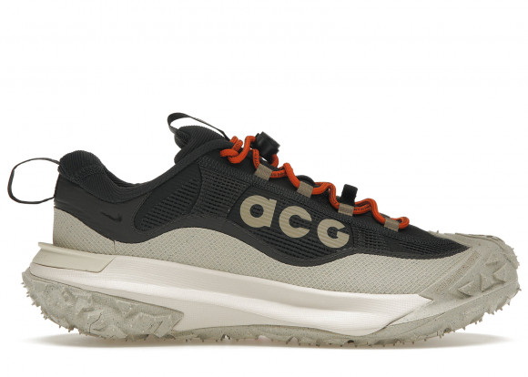 NIKE ACG MOUNTAIN FLY 2 LOW GTX