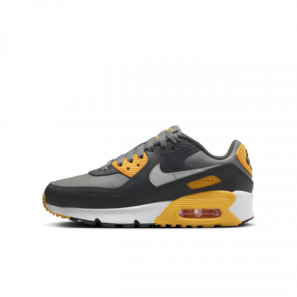 Chaussure Nike Air Max 90 pour ado - Gris - HF6358-004