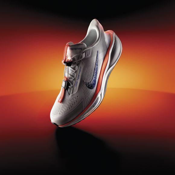 Męskie buty do biegania po asfalcie Nike Pegasus EasyOn Blueprint - Wielokolorowe - HM0374-900