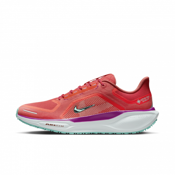 Scarpa impermeabile da running su strada Nike Pegasus 41 GORE-TEX – Uomo - Rosso - HM8872-600