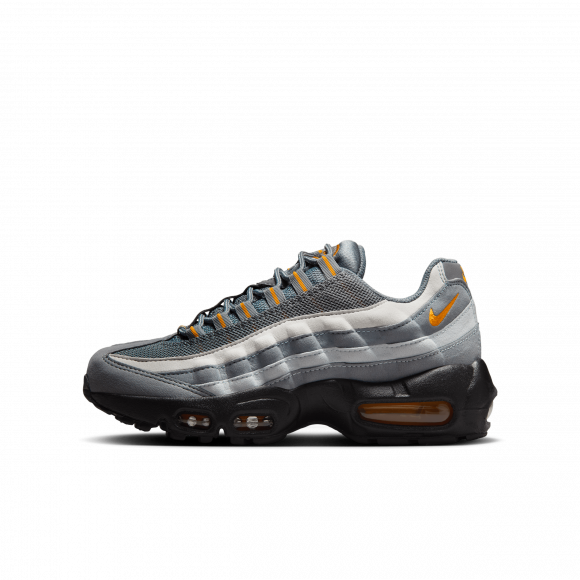 Nike Air Max 95 BHM 2020