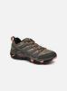 MOAB 2 Gore-Tex W par Merrell - J41106