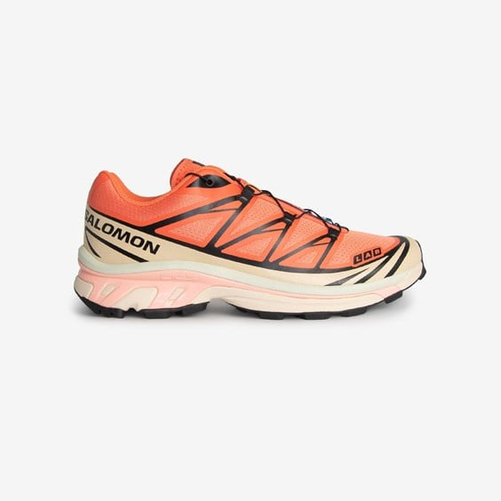 Salomon Trail Speedcross 5 Gtx Γυναικεία Παπούτσια - L47445000