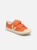 Small Ollie par Veja - OV0102859