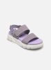 Greyfield Sandal2 STRAP SANDAL par Timberland - TB0A63A8EZ41