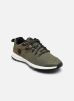 Timberland  Shoes (Trainers) SPRINT TREKR LOW KNIT  (men) - TB0A64B4A581