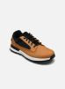 Timberland  Shoes (Trainers) KILLINGTON TREKKER  (boys) - TB0A68Z17541