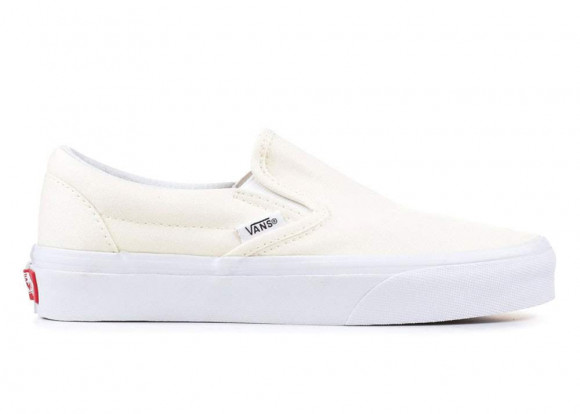 birch vans slip on